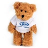 Arai Bear