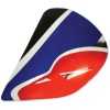 Arai Side Pods - J Type - Roberts GP 02