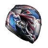 Arai Viper GT Web