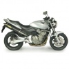 Arrow Exhaust - Honda CB 600 Hornet
