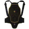 Forcefield Pro L2K Back Protector