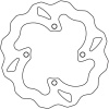 Galfer Rear Brake Disc - DF191W