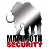Mammoth Security