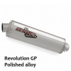 Remus Exhaust - Ducati Monster S4R