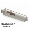 Remus Exhaust - Ducati Monster S4R