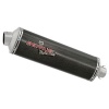 Remus Exhaust - Honda CBF 1000