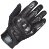 Richa Protect Summer Glove