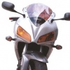 Skidmarx Standard Screen - CBR 600 RR