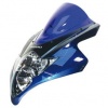 Skidmarx Standard Screen - CBR 600 RR