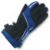 Spidi Zephyr H2OUT Gloves - Blue