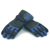 Weise Grid WP Glove - Black / Blue