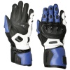 Weise Vortex Glove - Blue