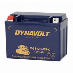 Dynavolt Motorcycle Batteries