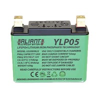 Aliant Lithium Motorcycle Battery - YLP05