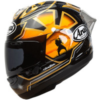 Arai RX-7V Evo - Replica Pedrosa Spirit Gold