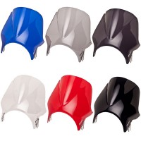 Puig Windy Windscreen - Kawasaki ER-5