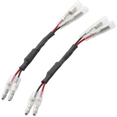 Rizoma Electronics 
