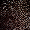 held_glove_stingray_detail.jpg