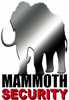 Mammoth Security logo