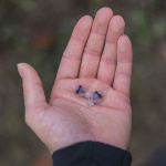 oxford_helmet-accessory_filterbuds-earplugs_detail6.jpg