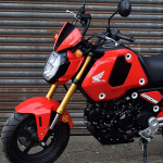 Pyramid Fly Screen Gayety Red & Gloss Black - Honda MSX 125 (21-) Thumb 1