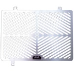 R&G Racing Stainless Steel Radiator Guard - BMW R1200R / RS - FREE UK ...