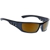 ugly-fish_rs4077_gold-revo-lens.jpg